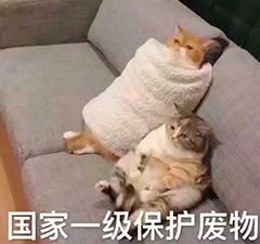 亲，你有份(logback+log4j2)性能测试包裹待查收