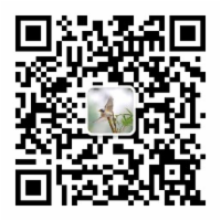 手写一个Redis和Spring整合的插件