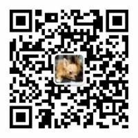 推荐几个小匠每天打发时间的订阅号