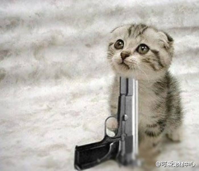 什么样的代码是好代码？