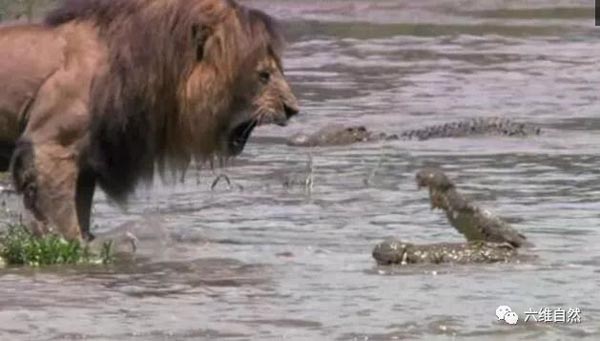 Java那么多锁，能锁住灭霸吗？