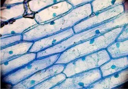 怎样成为一个优秀的架构师？
