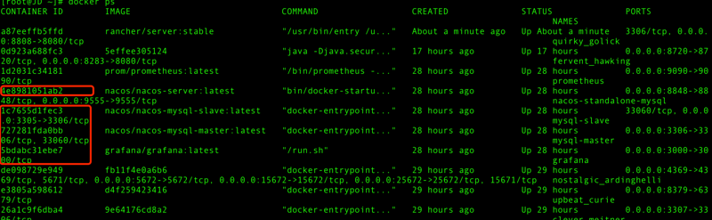 Spring Cloud Alibaba (nacos 注册中心搭建)