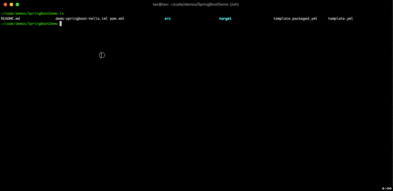 Serverless 实战 —— 快速搭建 SpringBoot 应用