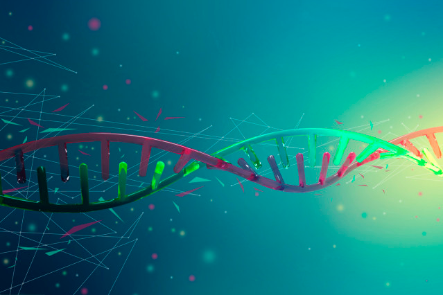 每天用Mybatis，但是Mybatis的工作原理你真的知道吗？