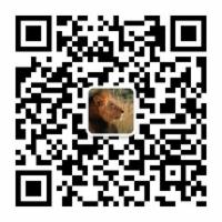 一只爬虫（一）