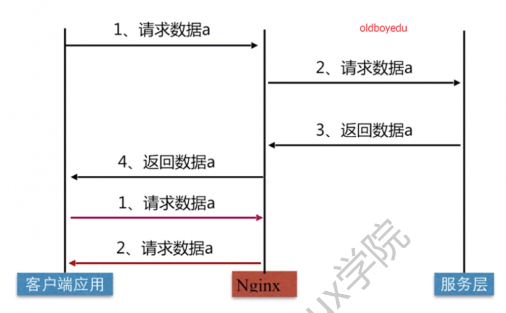 linux学习--week17--nginx-lnmp