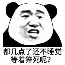 我的2019年过的很累，收获却是意想不到