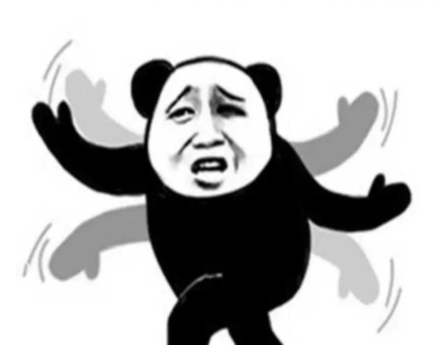 今！年！面！试！太！难！了！