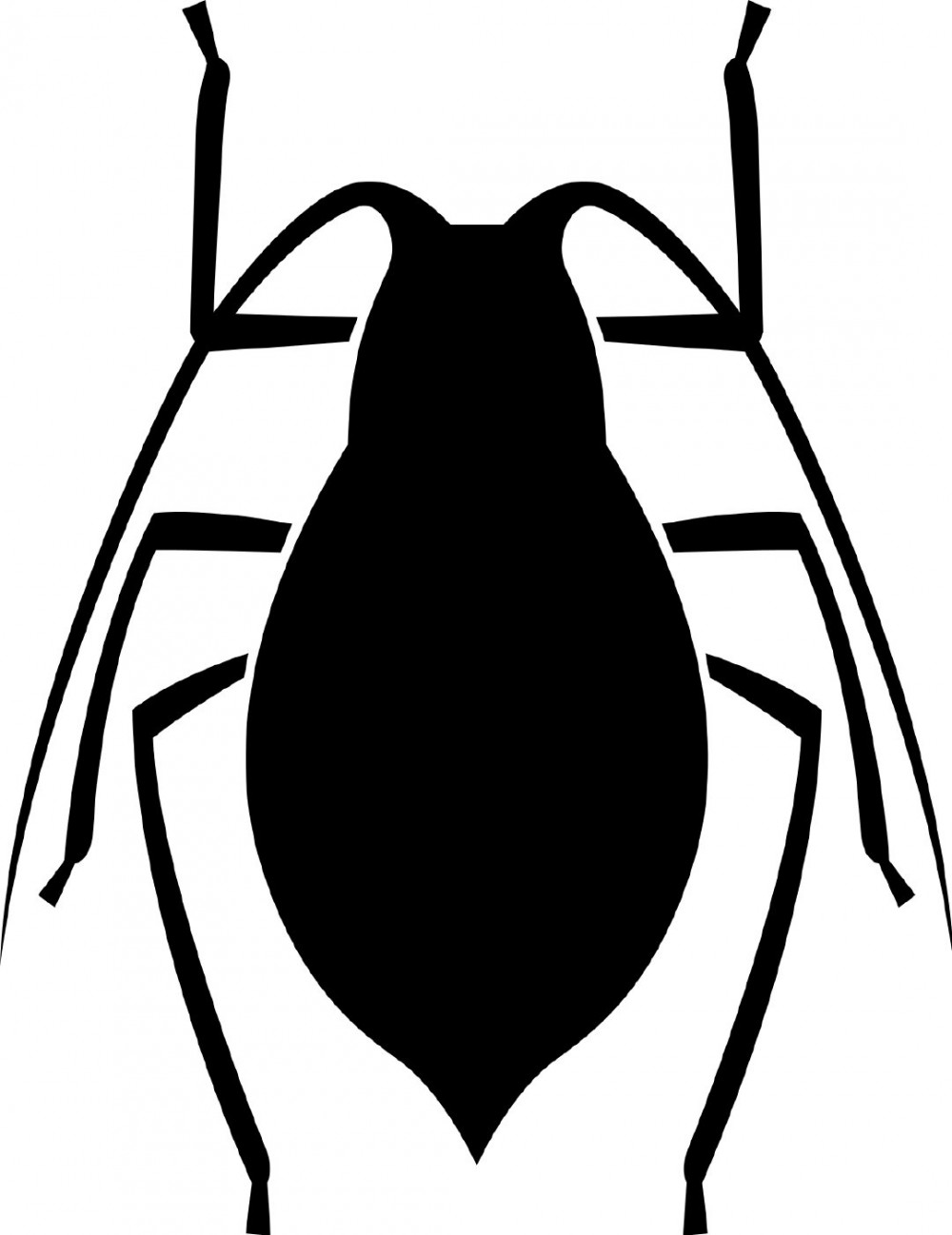 这一年，从学生到职场