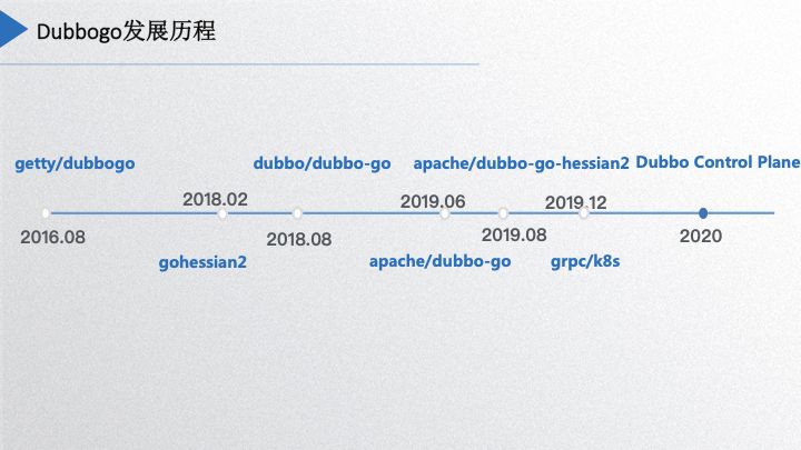 dubbogo 回顾与展望