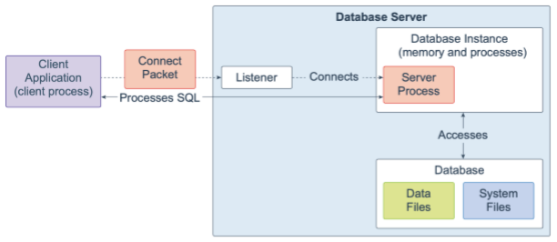 Oracle Database 19c 技术架构（一）
