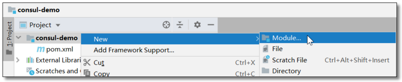 微服务系列之 Consul 服务注册中心