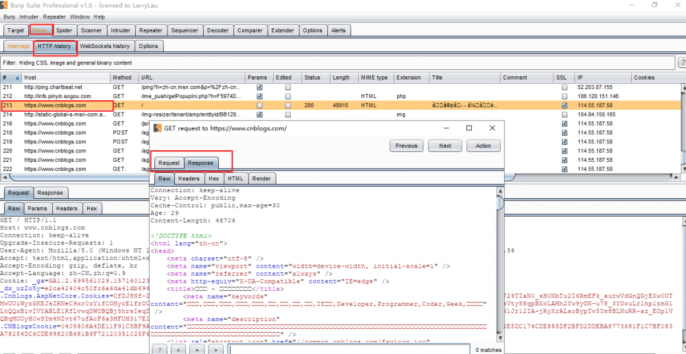 BurpSuit工具安装和基本使用方法