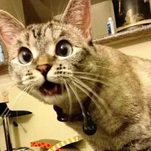 Spring Security 自动踢掉前一个登录用户，一个配置搞定！