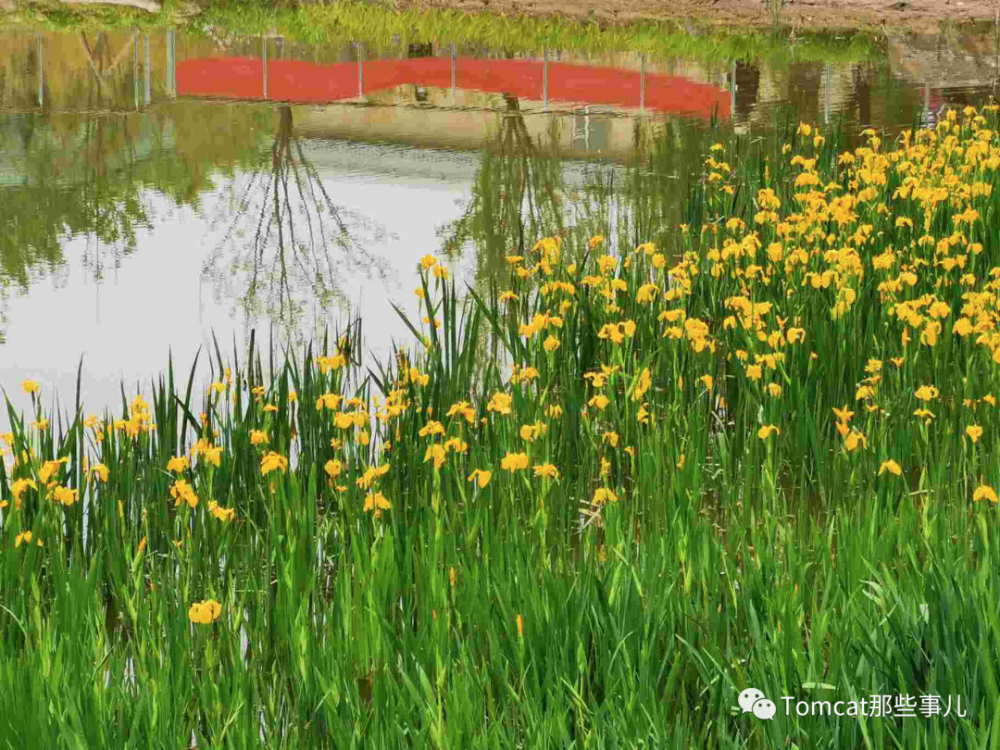 听厕所保洁的老大爷讲Java的垃圾回收