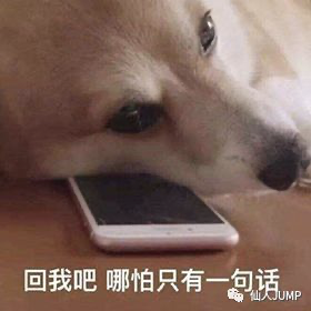 转行学Java的第4天：循环，一起转圈圈