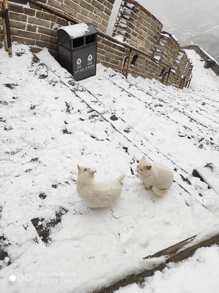 Java 提取和删除照片图片 Exif GPS 等隐私信息