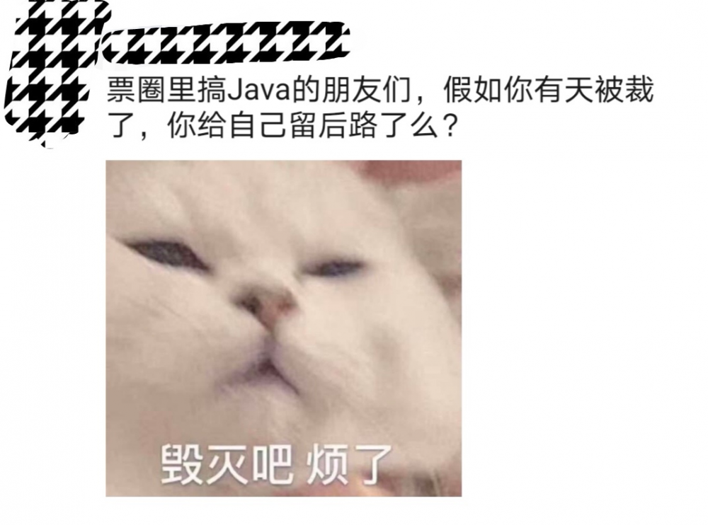 Java 程序员的退路是什么？