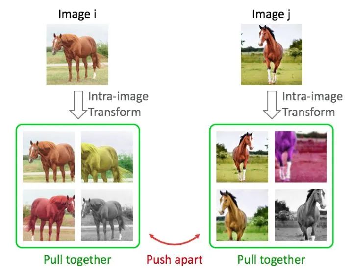 自监督学习的一些思考
