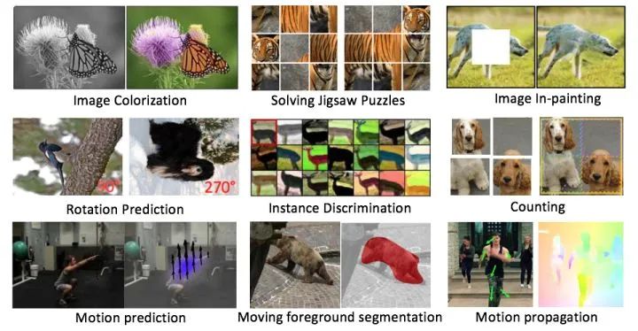 自监督学习的一些思考