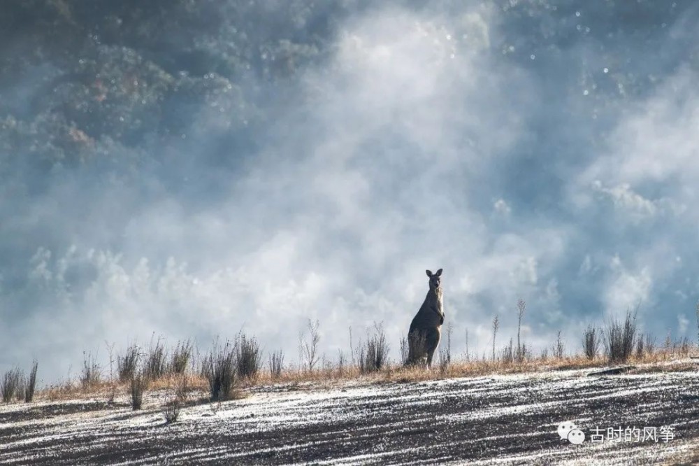 HashSet：实不相瞒，我就是个套壳 HashMap