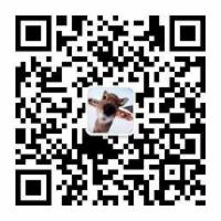 Netty 新手入门 ( 一 ) Netty 与 NIO