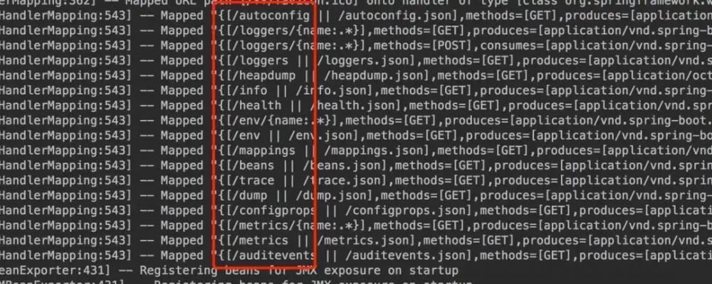 Spring Boot 微服务之程序性能监控