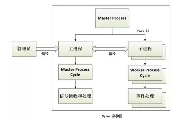 Nginx 核心架构设计