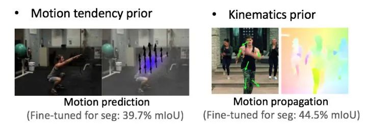 自监督学习的一些思考