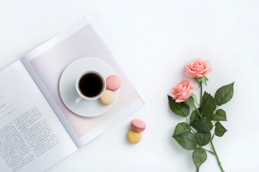 7月书讯 （上）| 宝藏新书助你“乘风破浪”