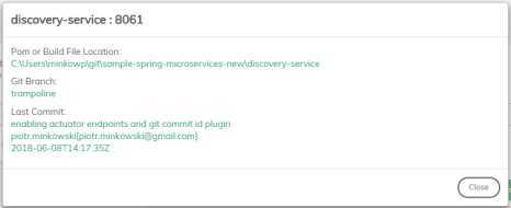 微服务本地开发管理工具——Trampoline