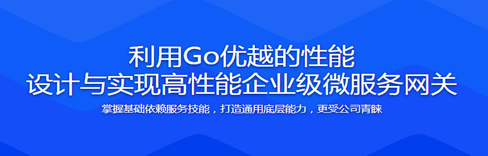 利用Go优越的性能 设计与实现高性能企业级微服务网关 完整无密