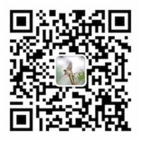 JVM系列之垃圾回收器（下篇）——Shenandoah垃圾回收器