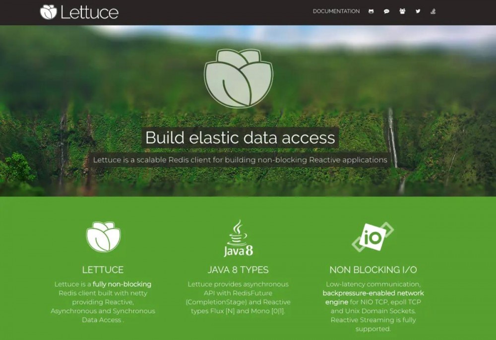 玩转SpringBoot之捣鼓 Redis