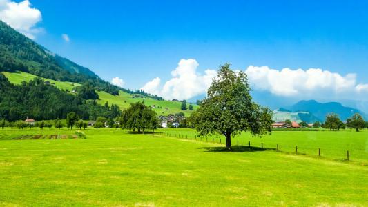 拥抱Java 8并行流吧，速度飞起！