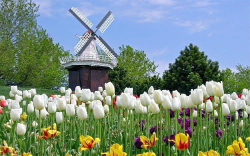 有啥不同？来看看Spring Boot基于JUnit 5实现单元测试