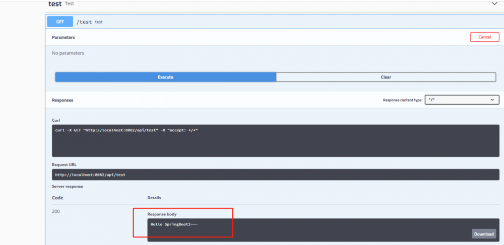 前端初学SpringBoot系列（一）初始化项目以及引入swagger2