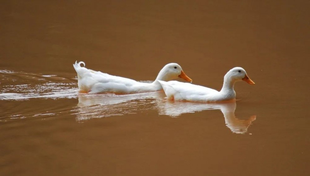 办公室划水？早说啊，这事我擅长...