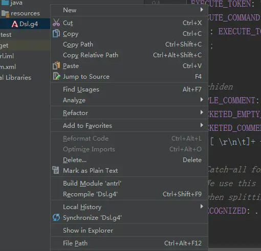 antlr4操作入门(java版本)
