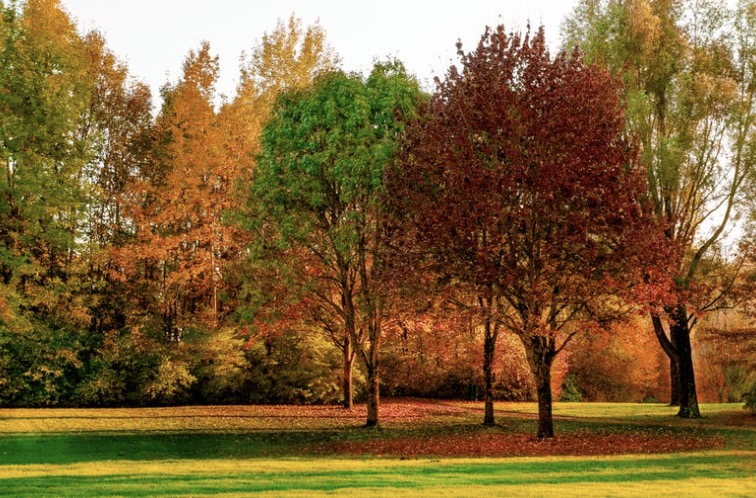 CentOS清理tmp下临时文件