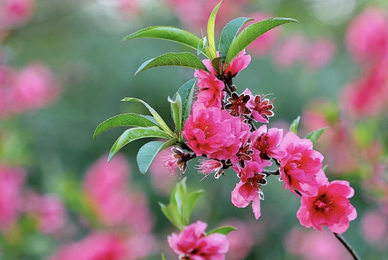 Claude Opus 4.7：一个开始“干活”的大模型