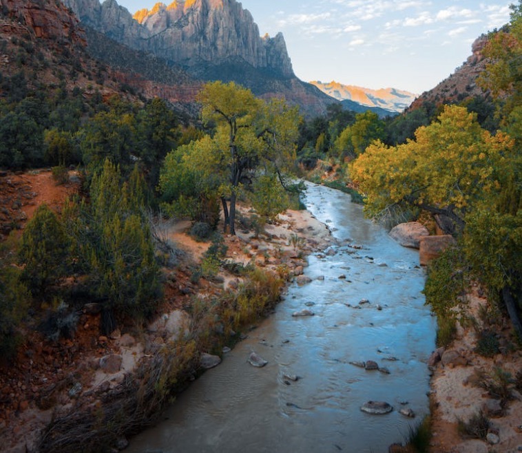 MongoDB索引简介与使用